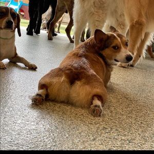 Meet your Posher, Kellie